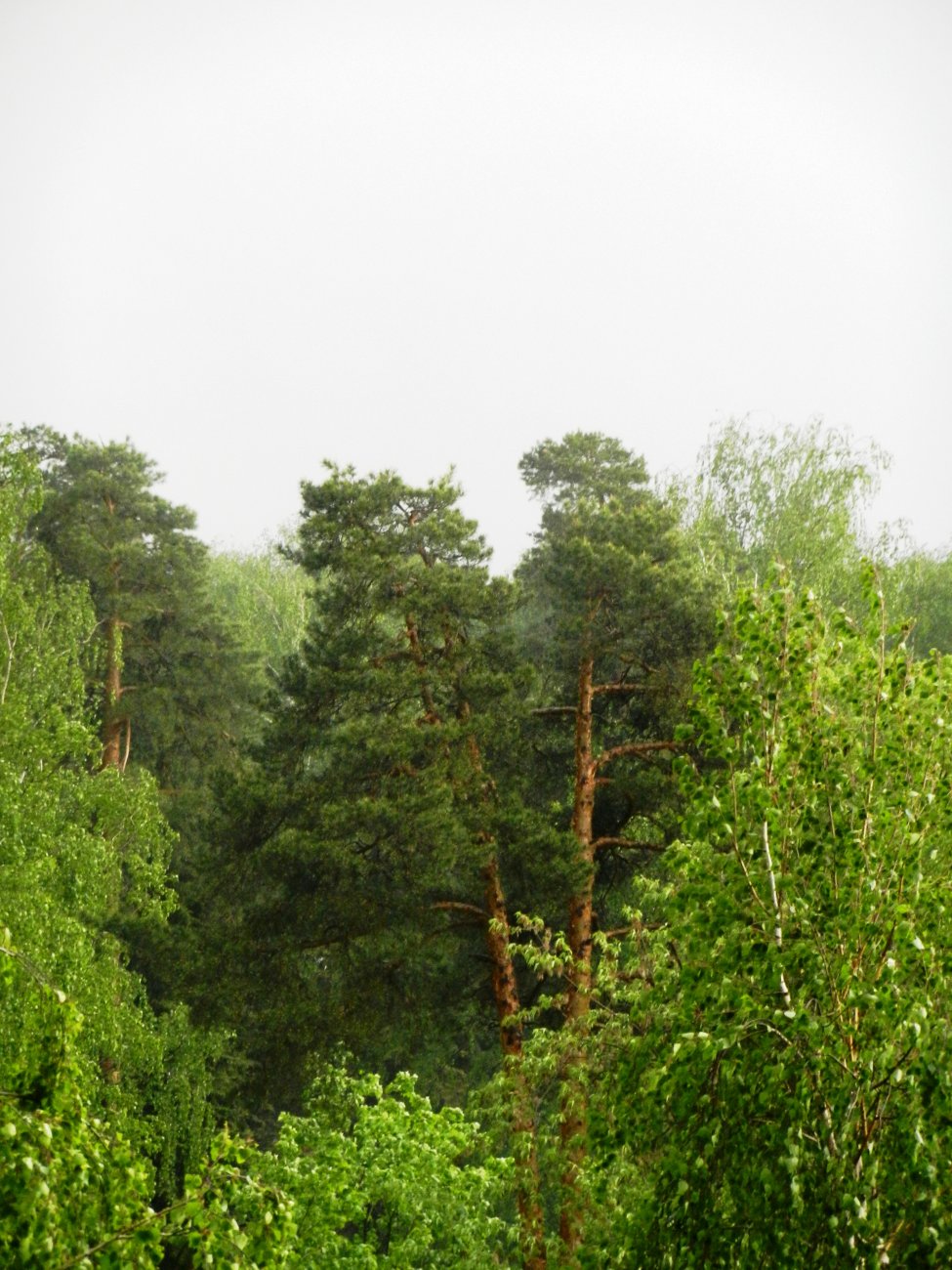 DSCN1311.JPG