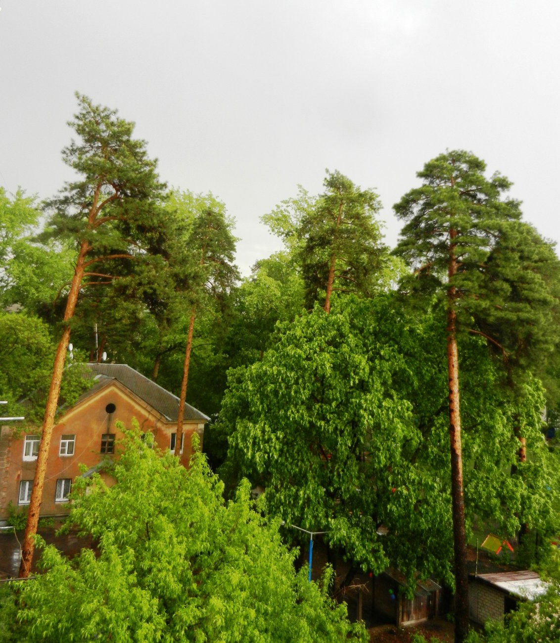 DSCN1312.JPG