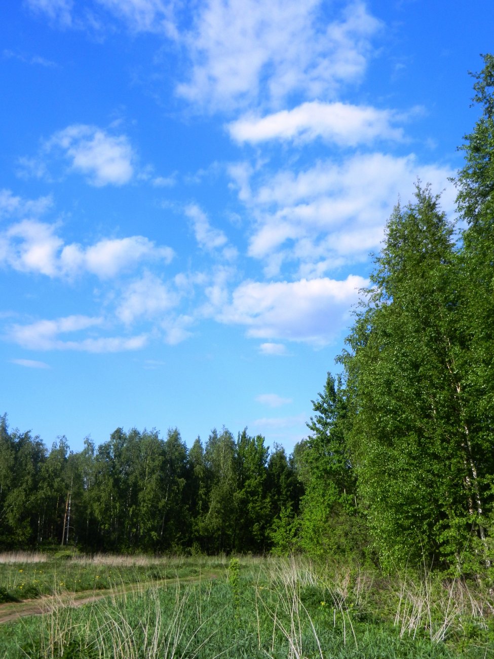 DSCN1319.JPG