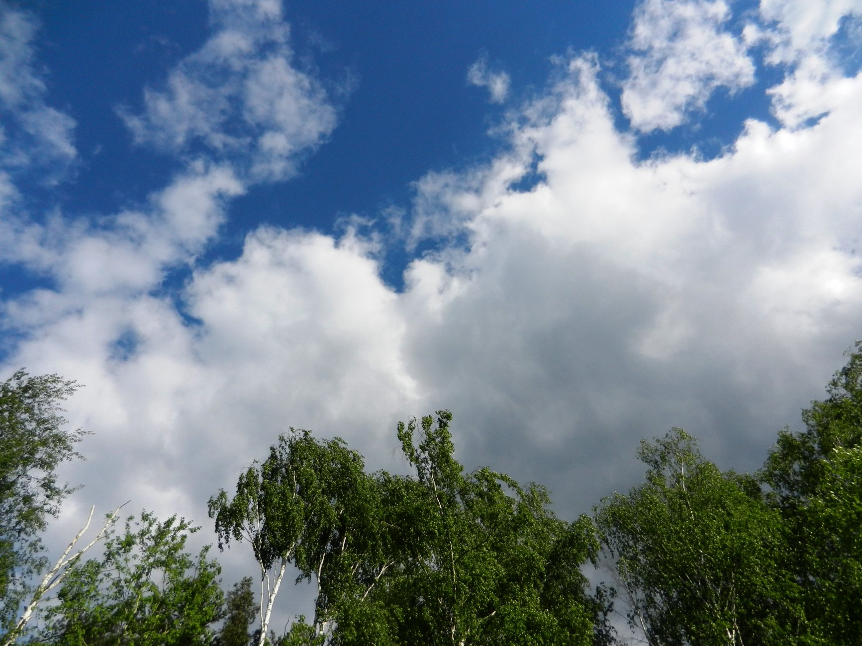 DSCN1320.JPG