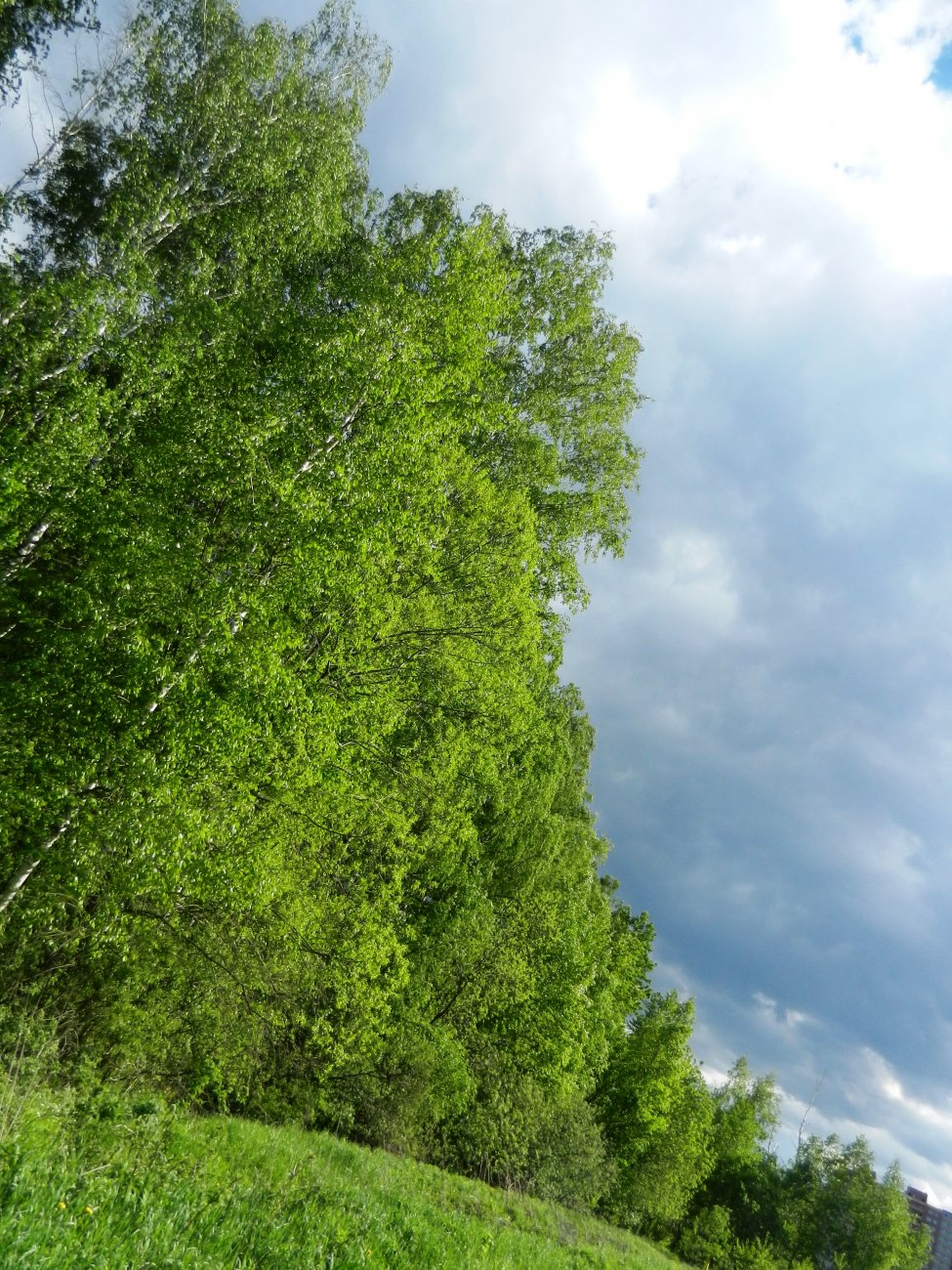 DSCN1321.JPG