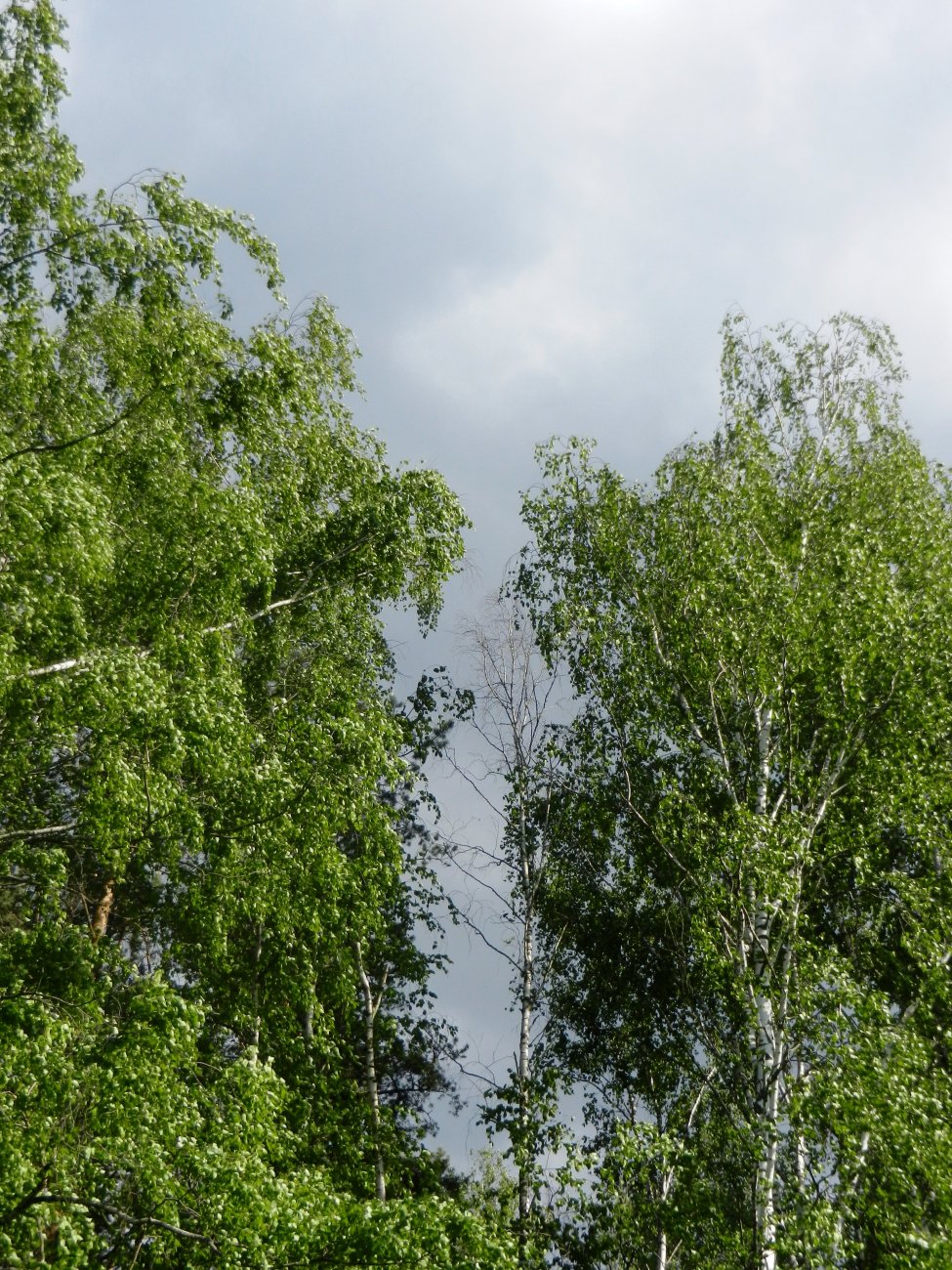 DSCN1322.JPG