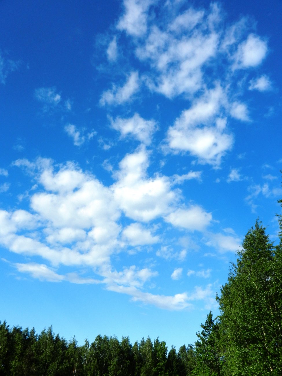 DSCN1323.JPG