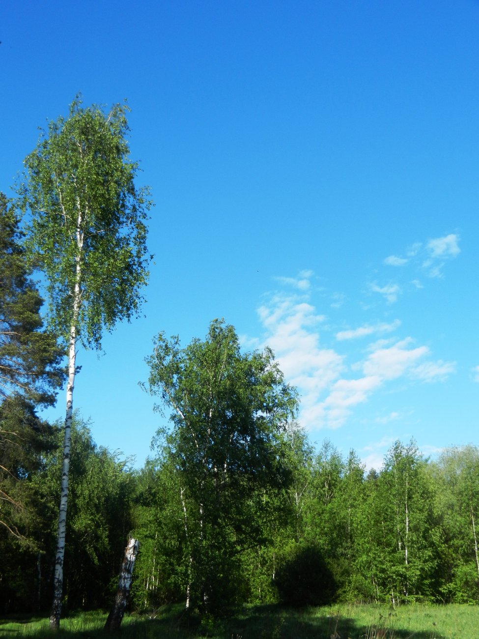 DSCN1326.JPG