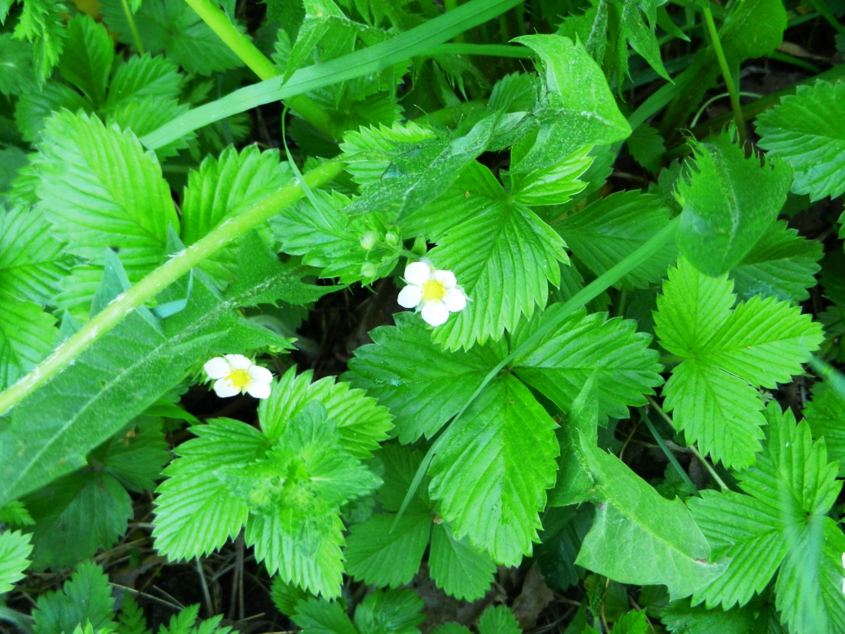 DSCN1327.JPG