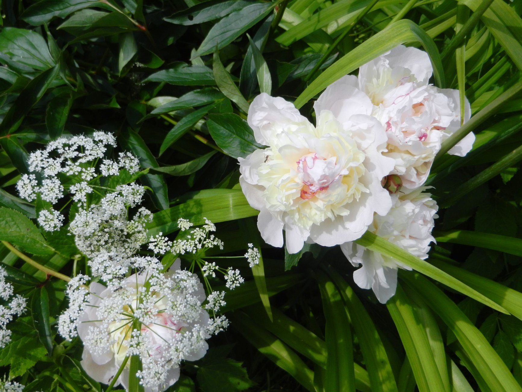 DSCN1536.JPG
