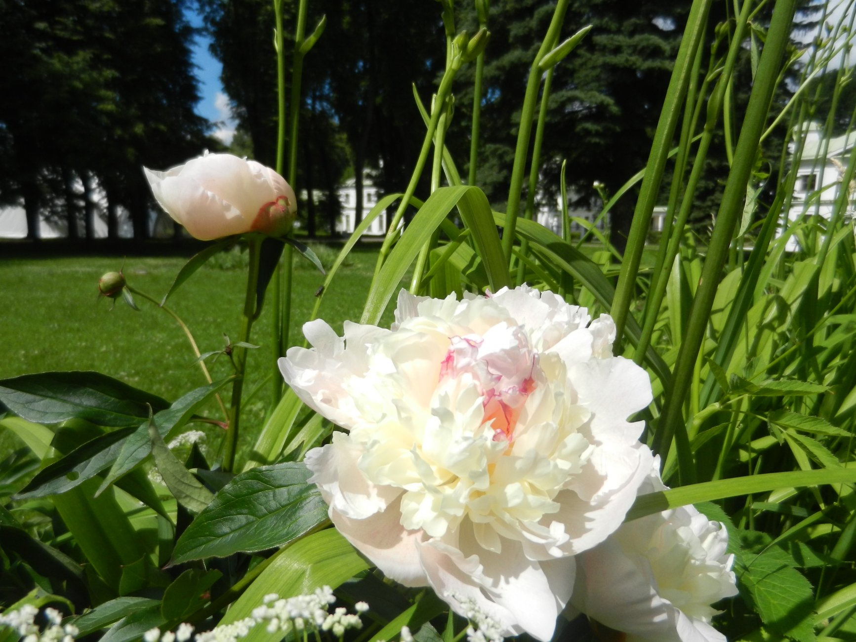 DSCN1541.JPG