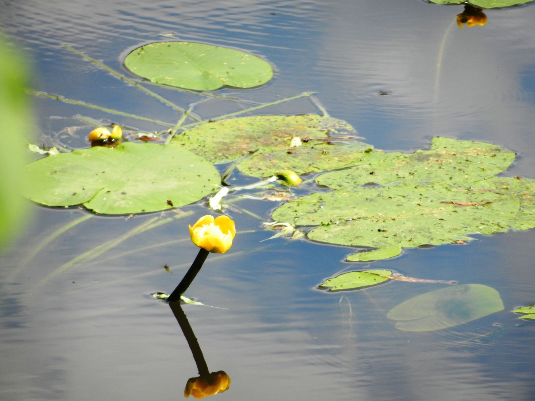 DSCN1565.JPG