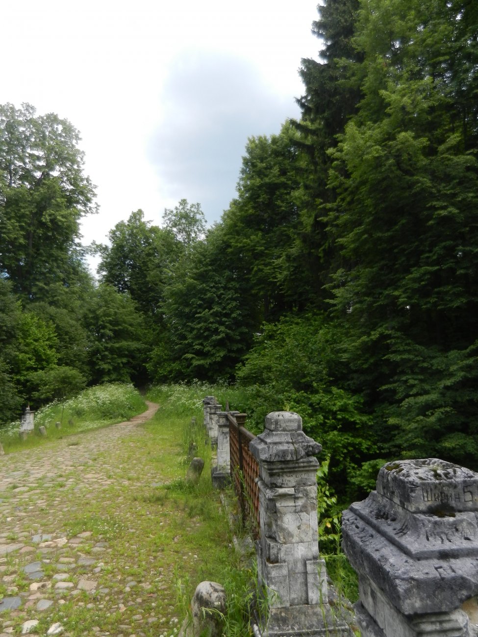 DSCN1583.JPG