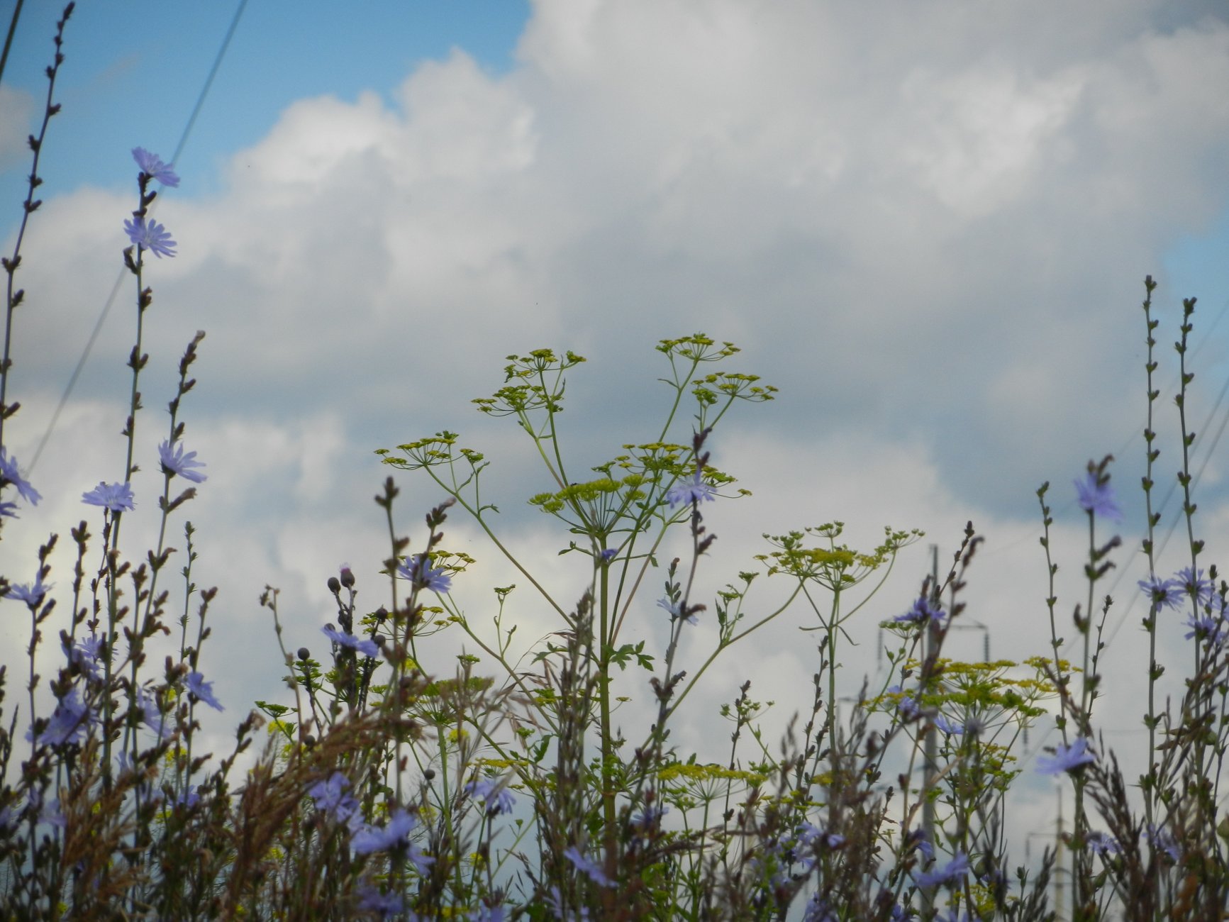 DSCN1610.JPG