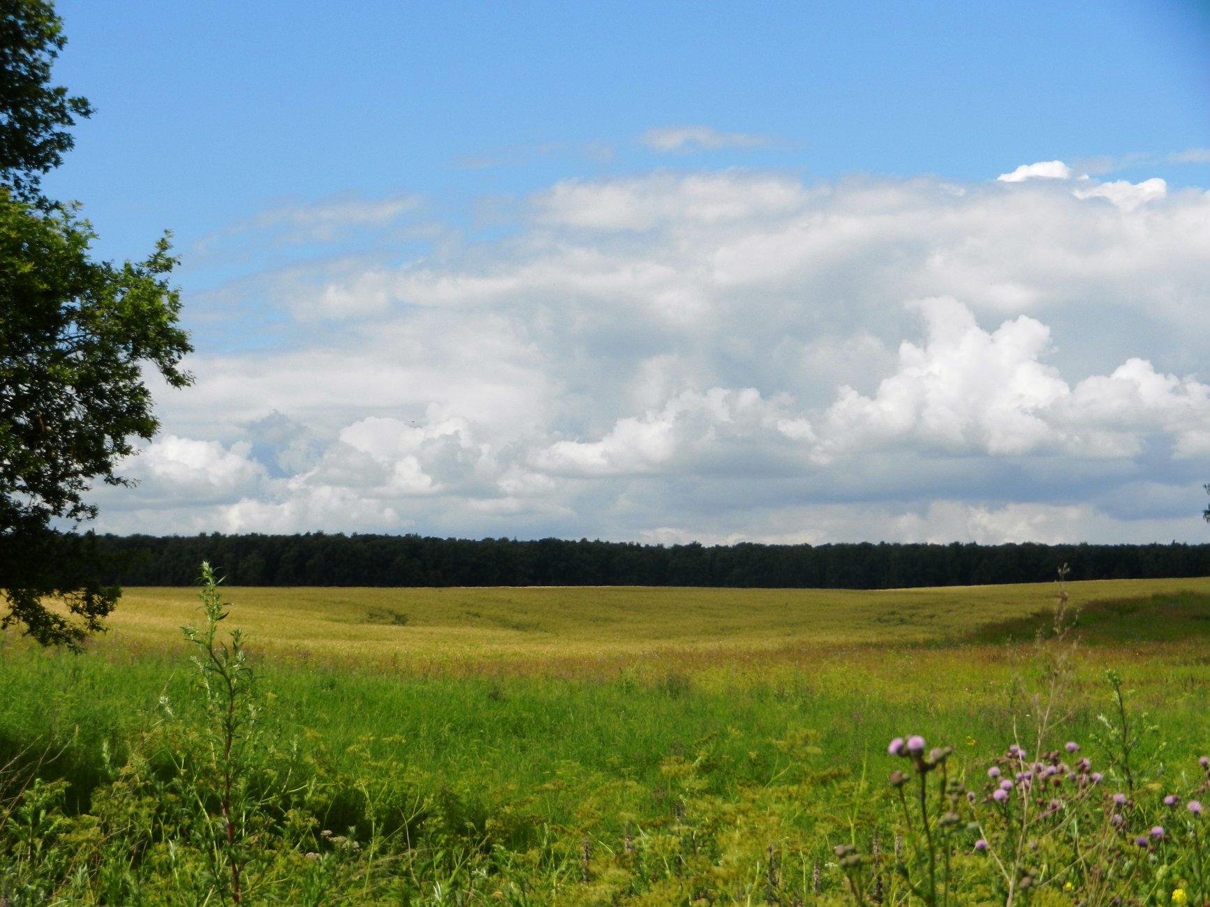 DSCN1619.JPG