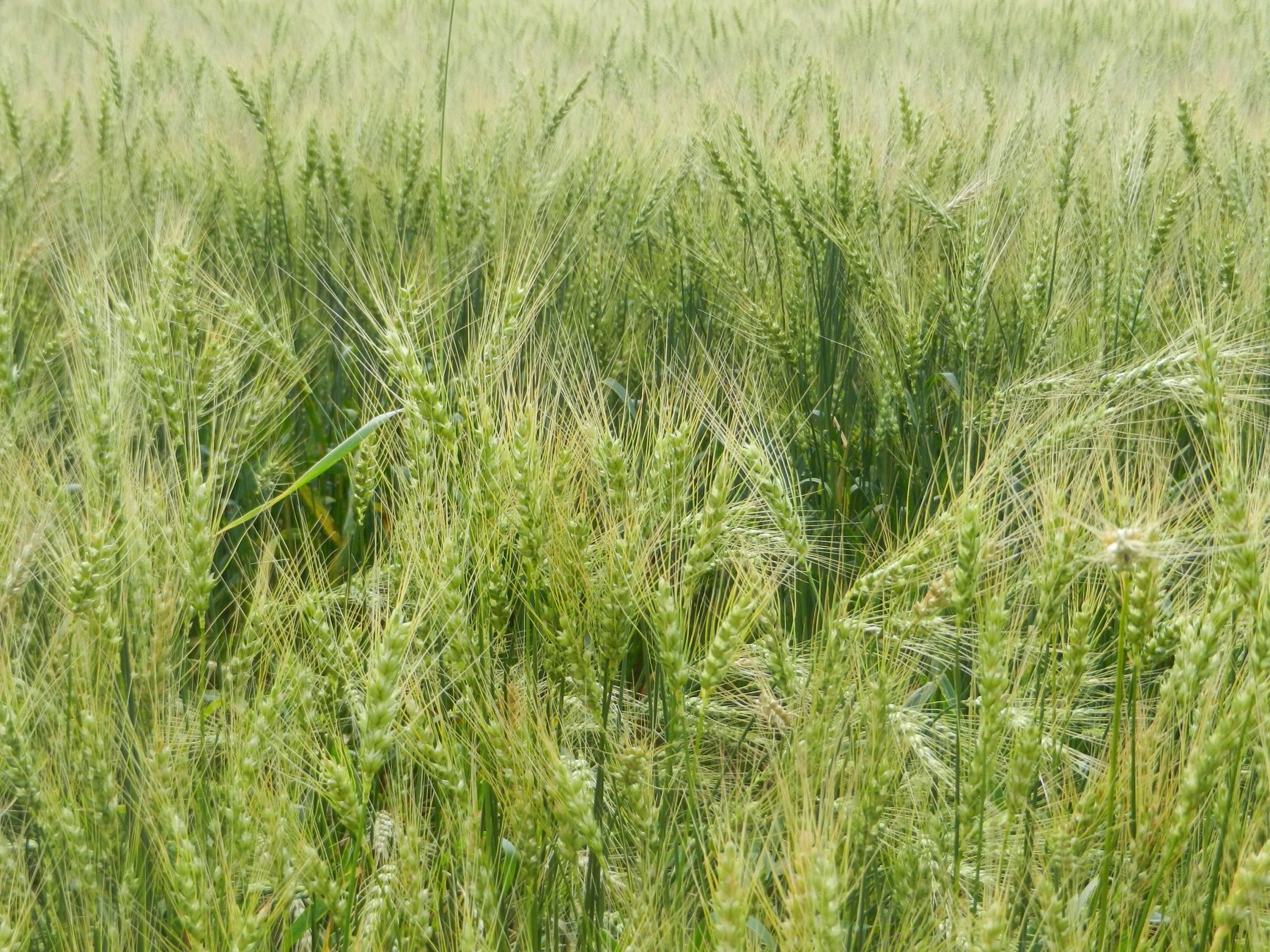 DSCN1656.JPG