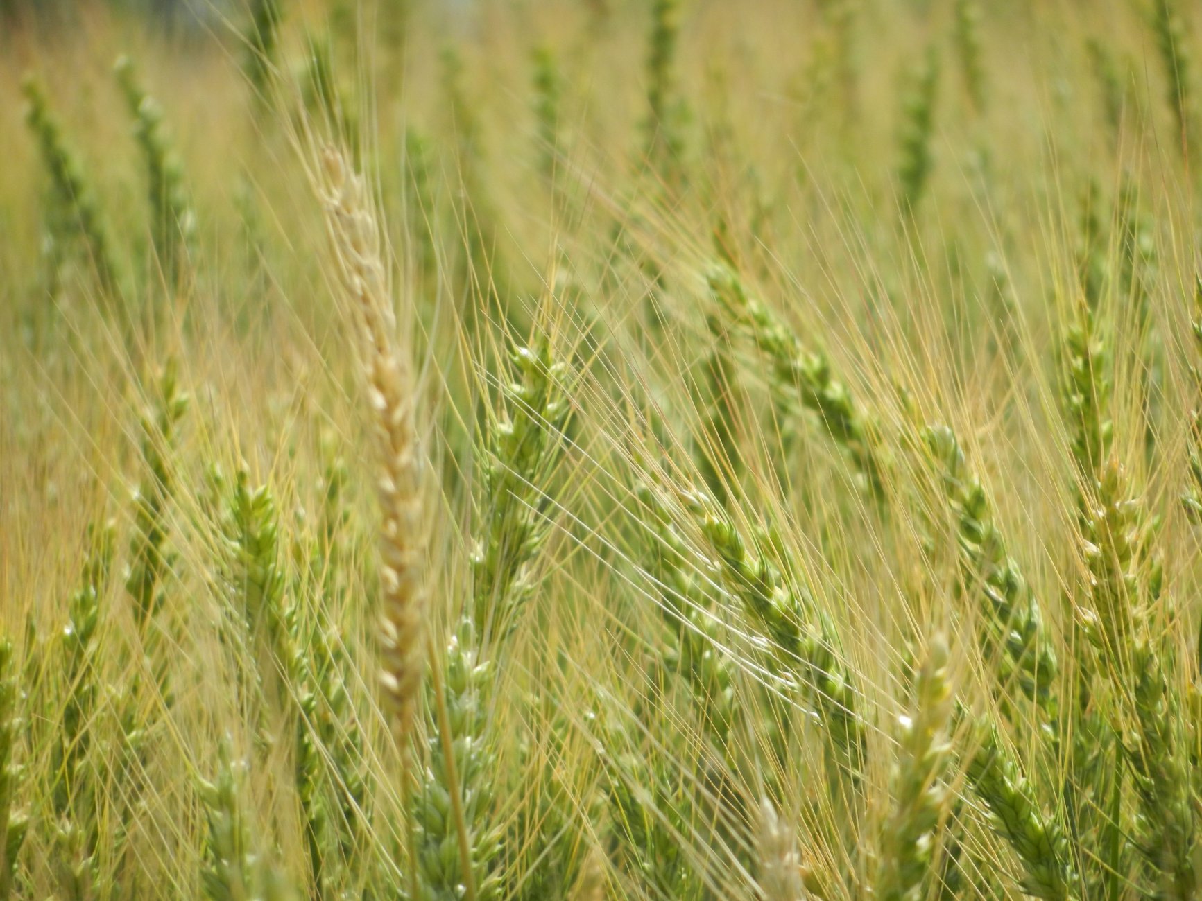 DSCN1666.JPG