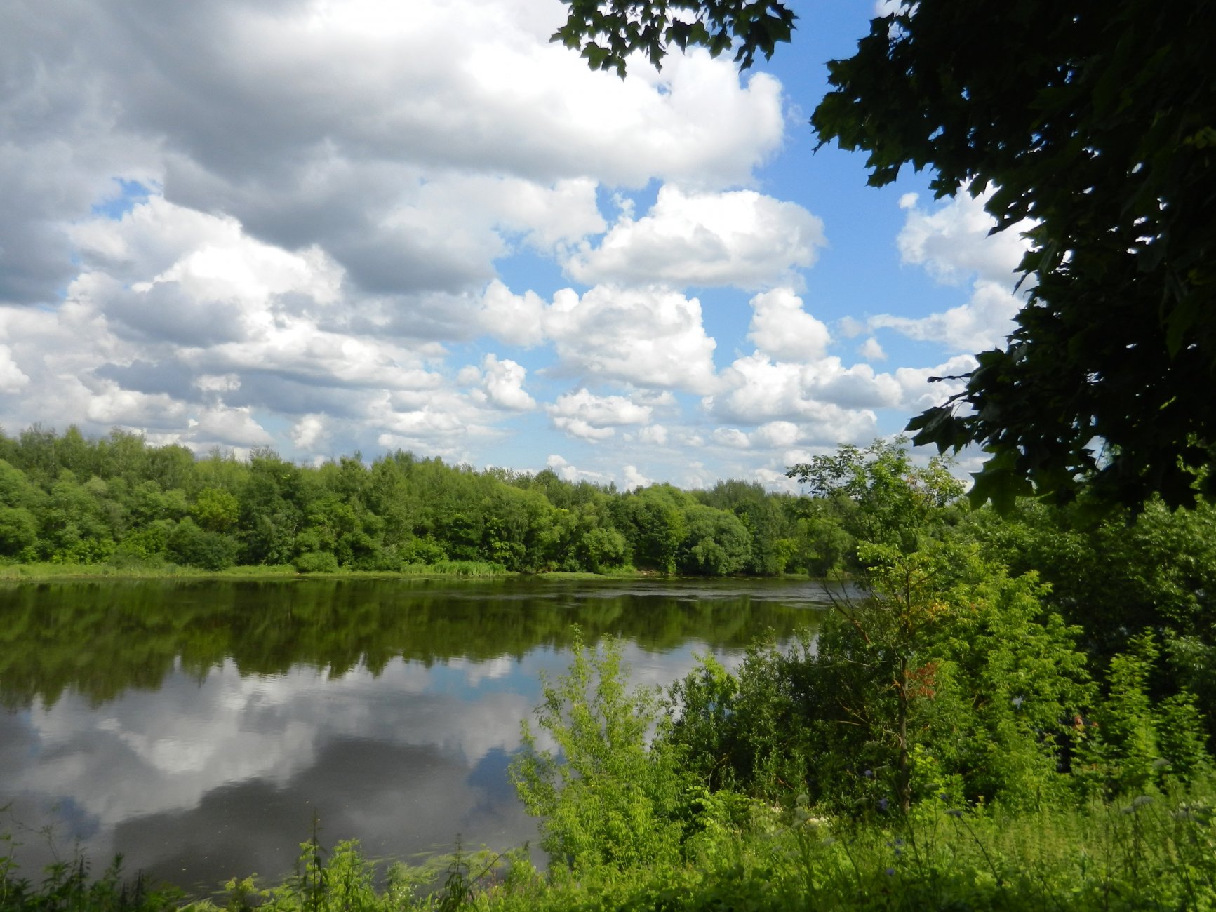 DSCN1734.JPG