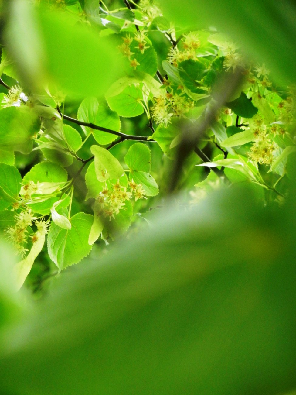 DSCN1743.JPG
