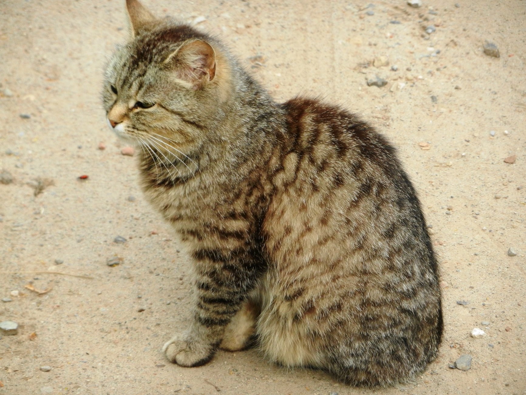 DSCN1746.JPG