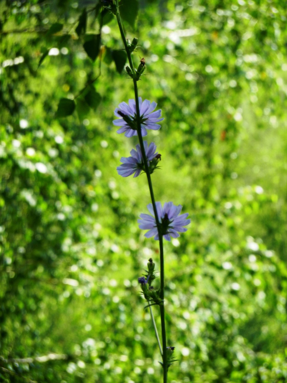 DSCN1796.JPG