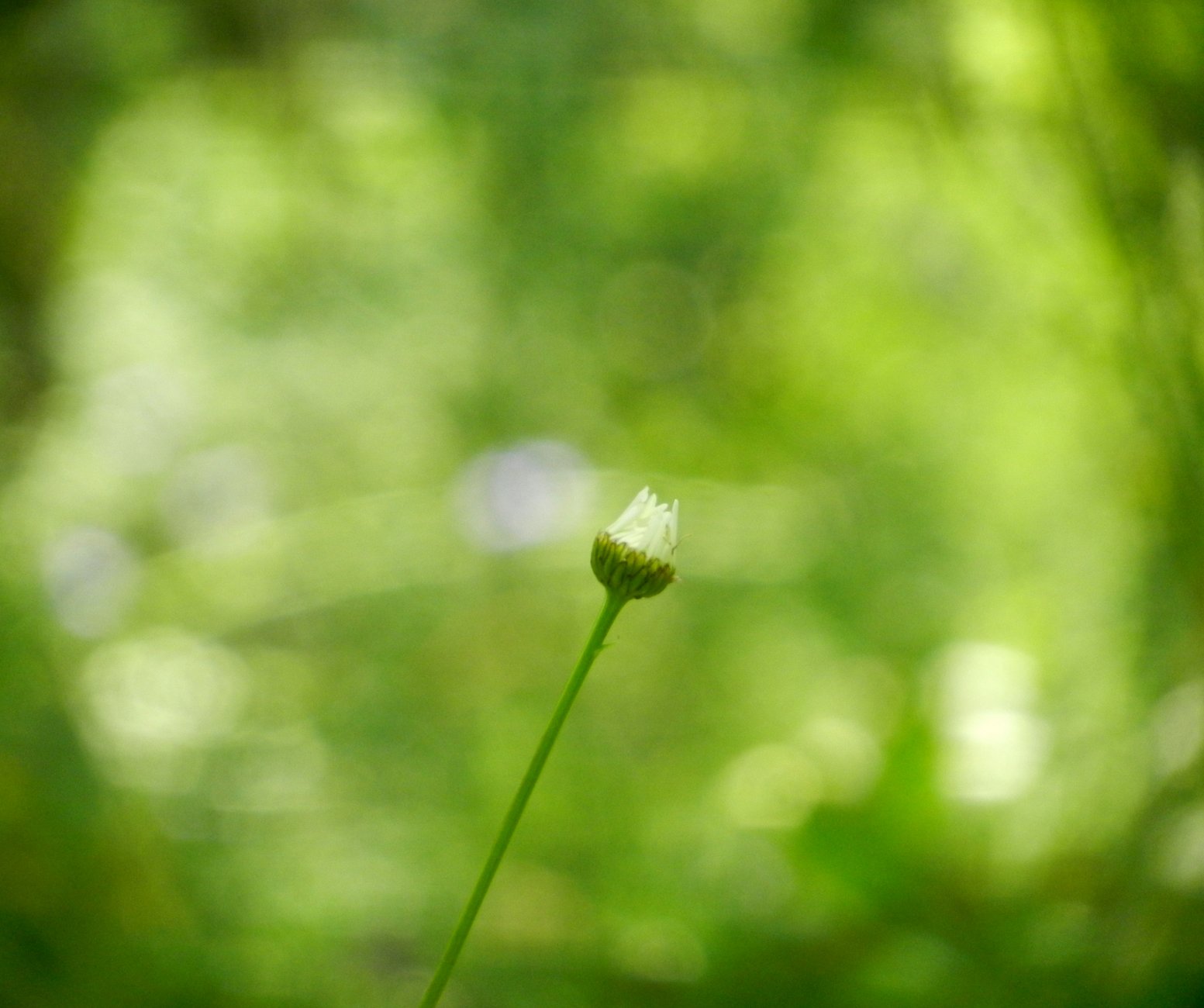 DSCN1800.JPG