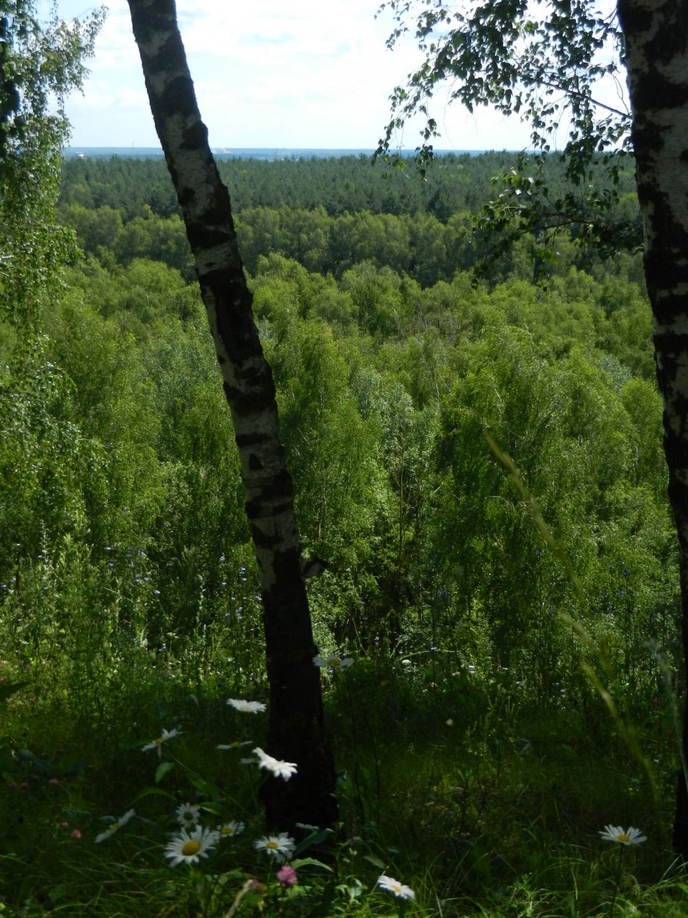 DSCN1805.JPG