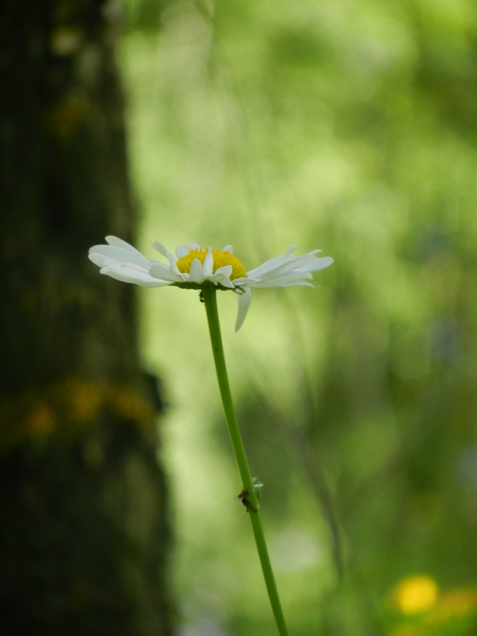 DSCN1811.JPG