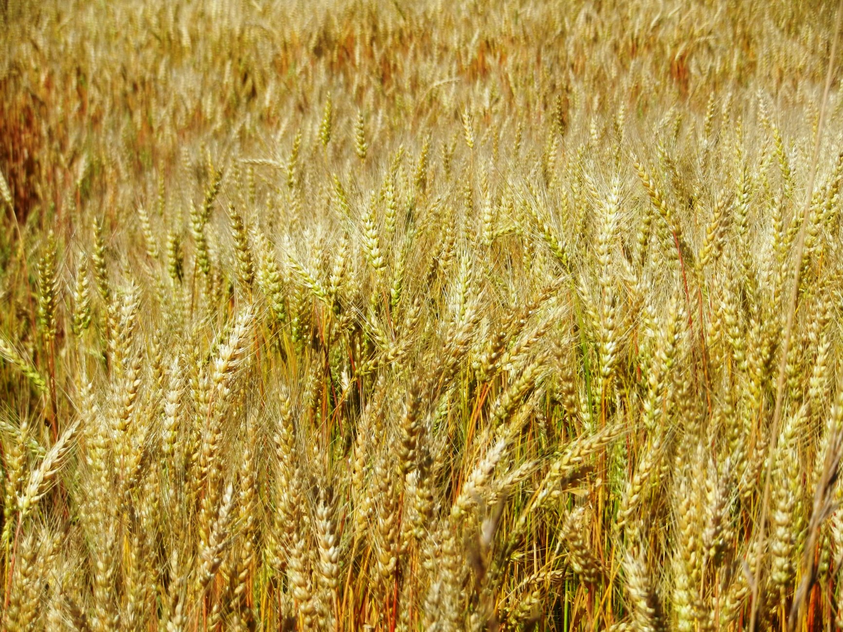 DSCN1839.JPG