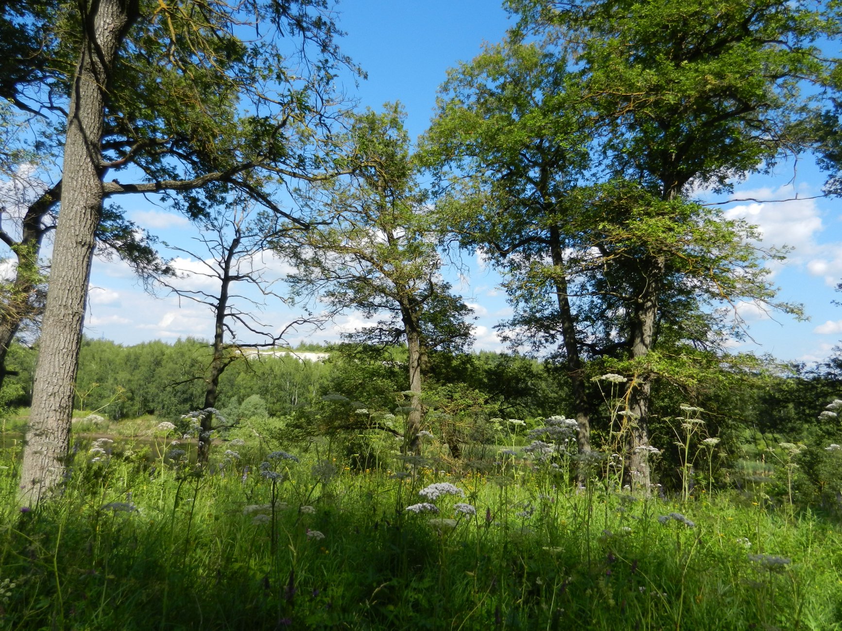 DSCN1848.JPG