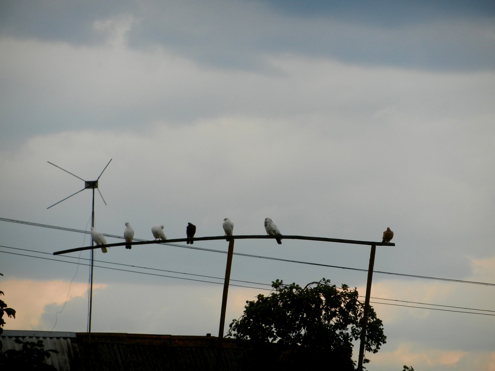 DSCN1855.JPG
