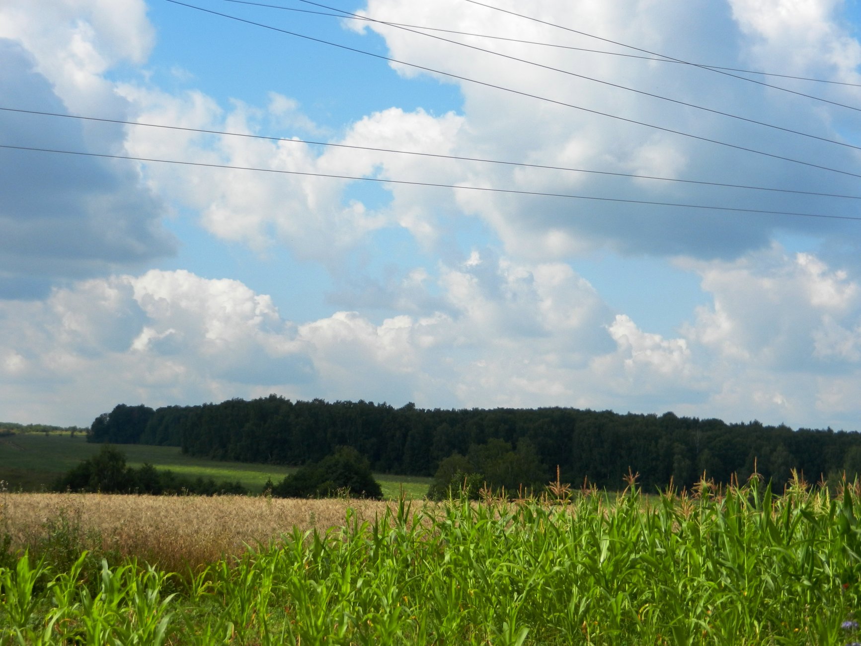 DSCN1863.JPG