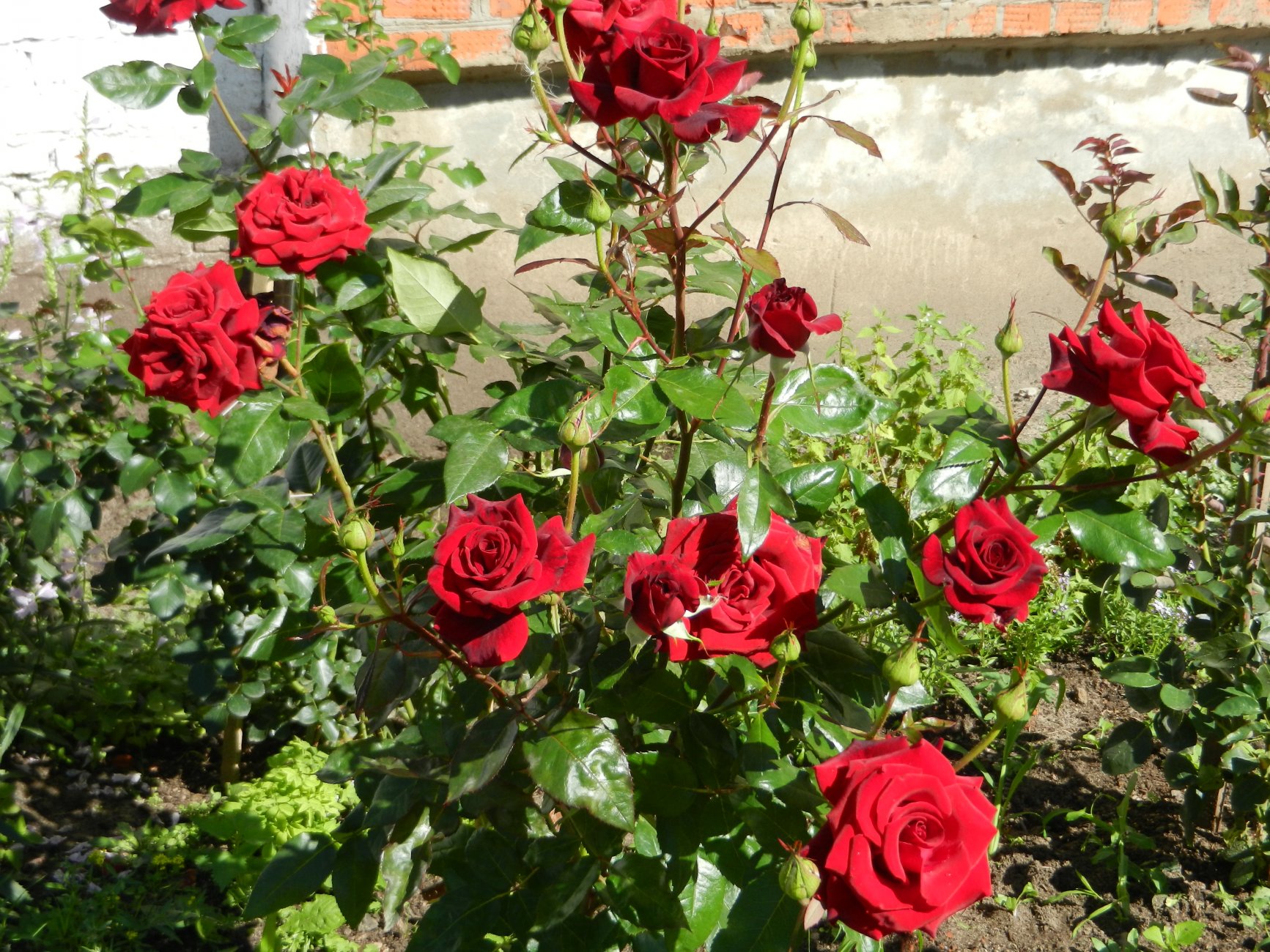 DSCN1893.JPG