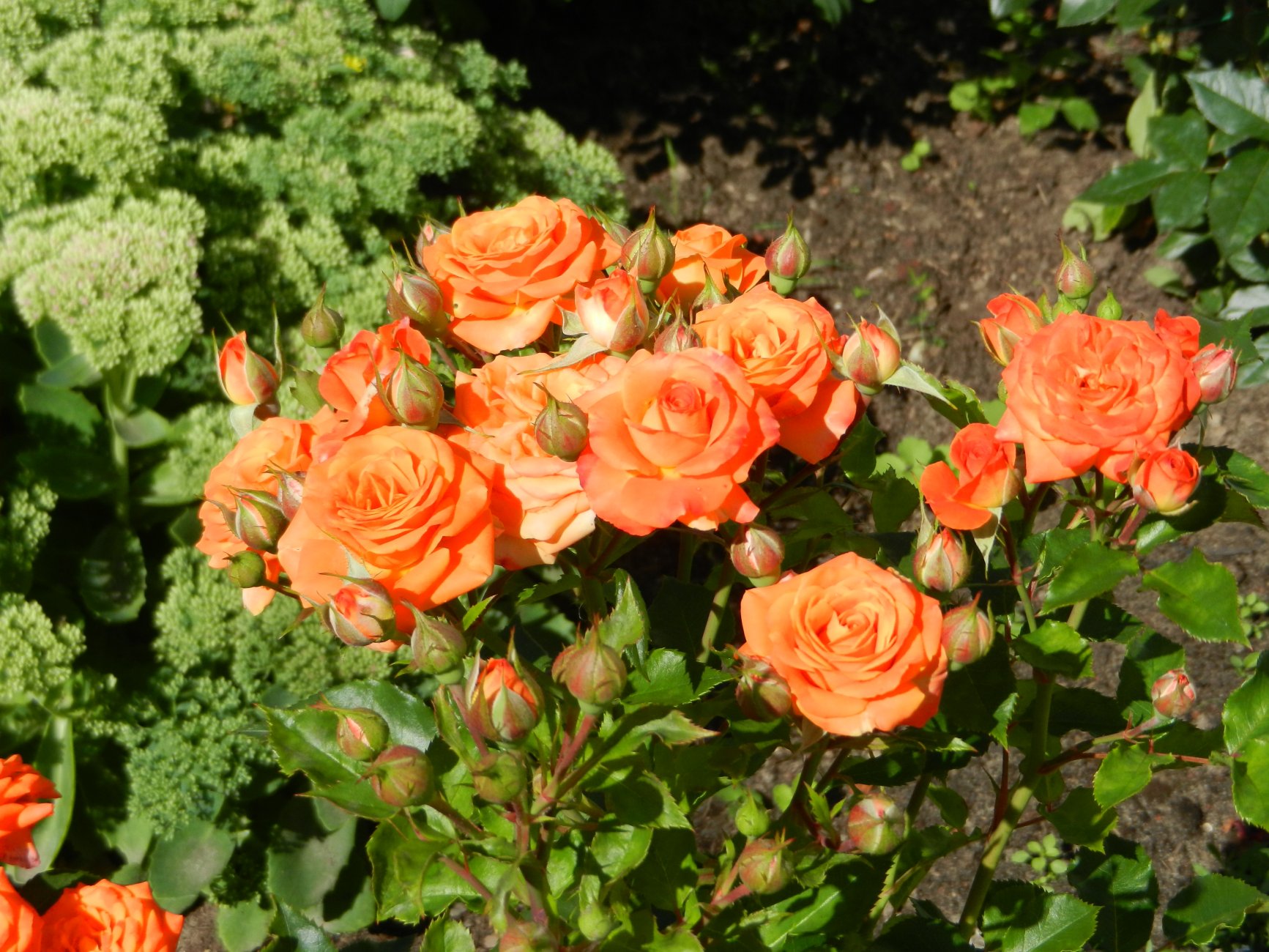 DSCN1896.JPG