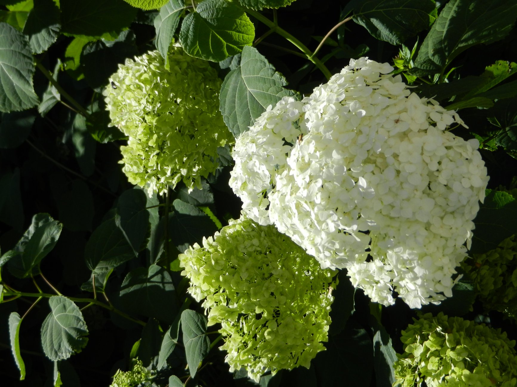 DSCN1928.JPG