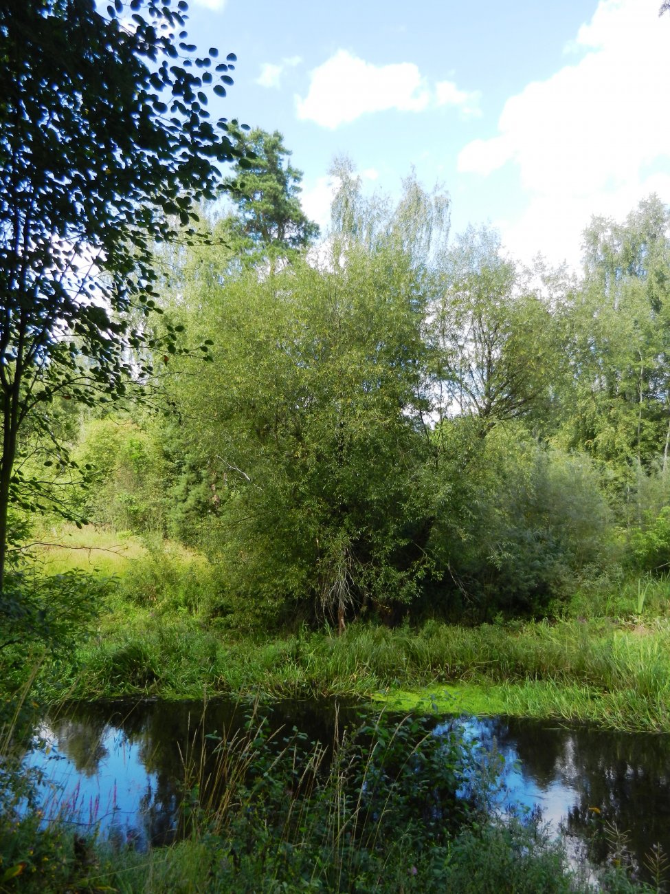 DSCN1940.JPG