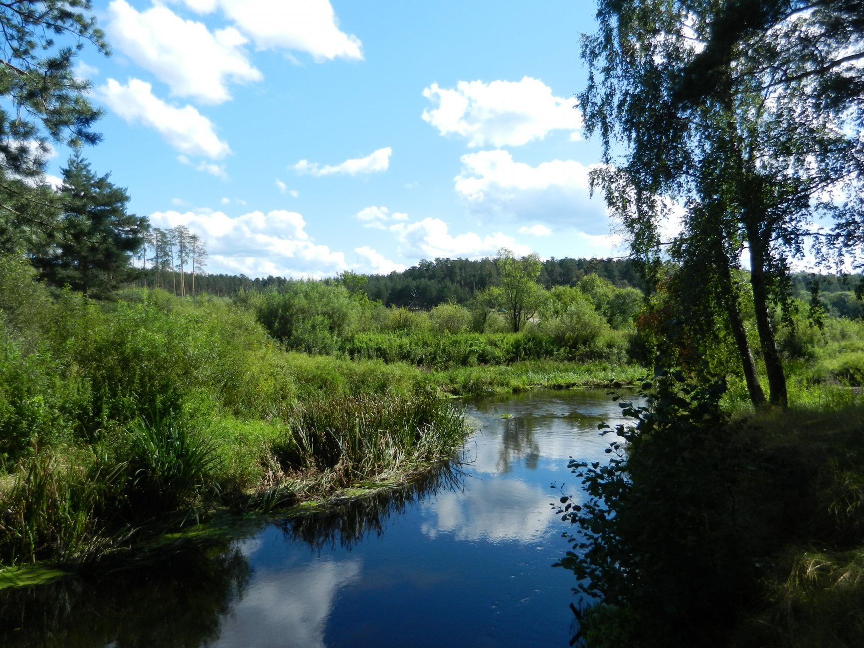 DSCN1966.JPG