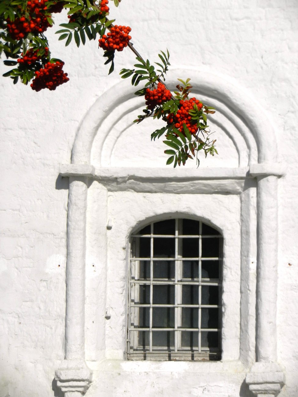 DSCN2028.JPG