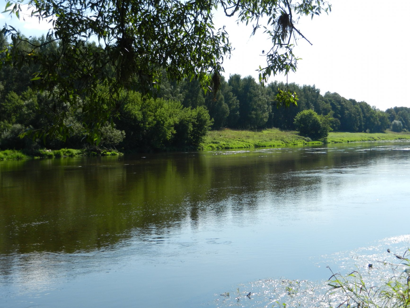 DSCN2103.JPG