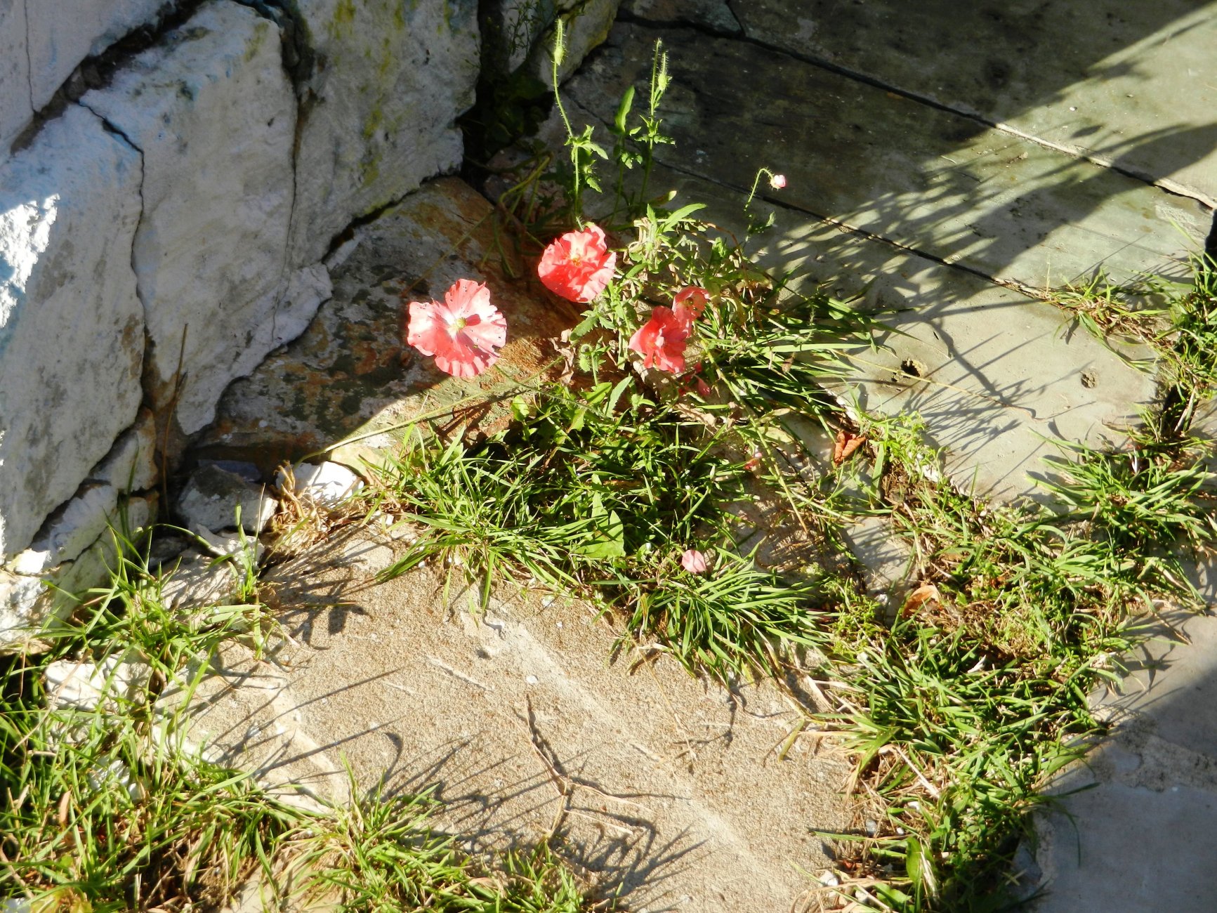 DSCN2157.JPG