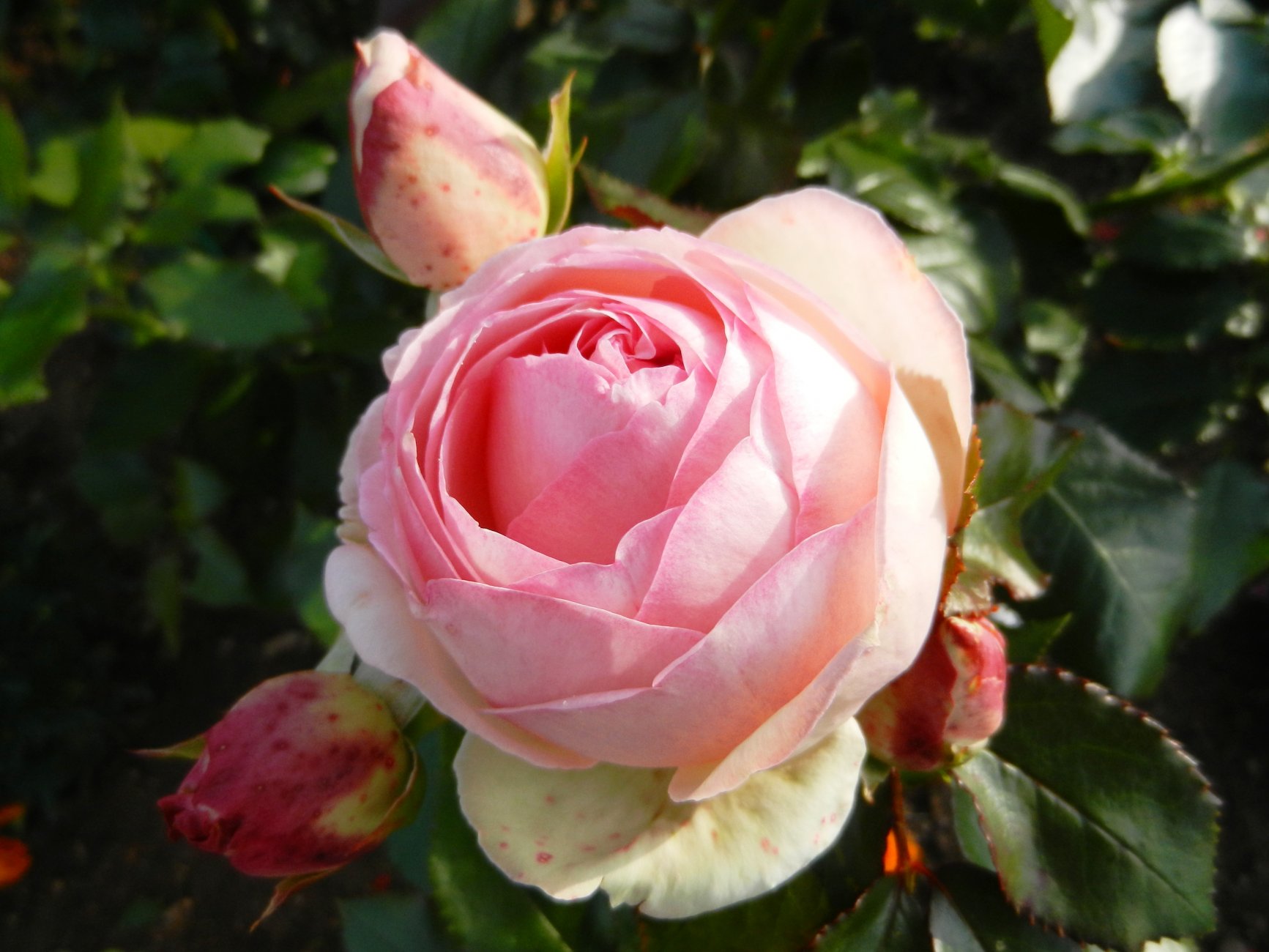 DSCN2200.JPG