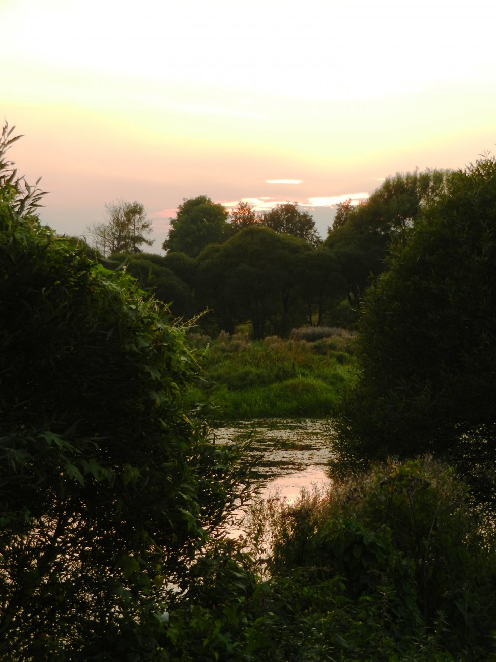 DSCN2264.JPG