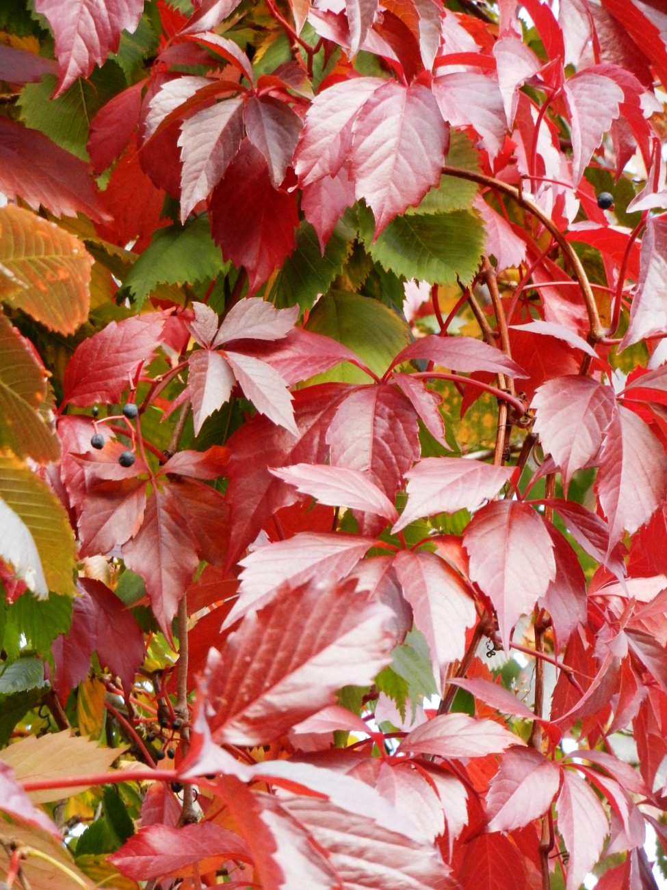 DSCN2310.JPG