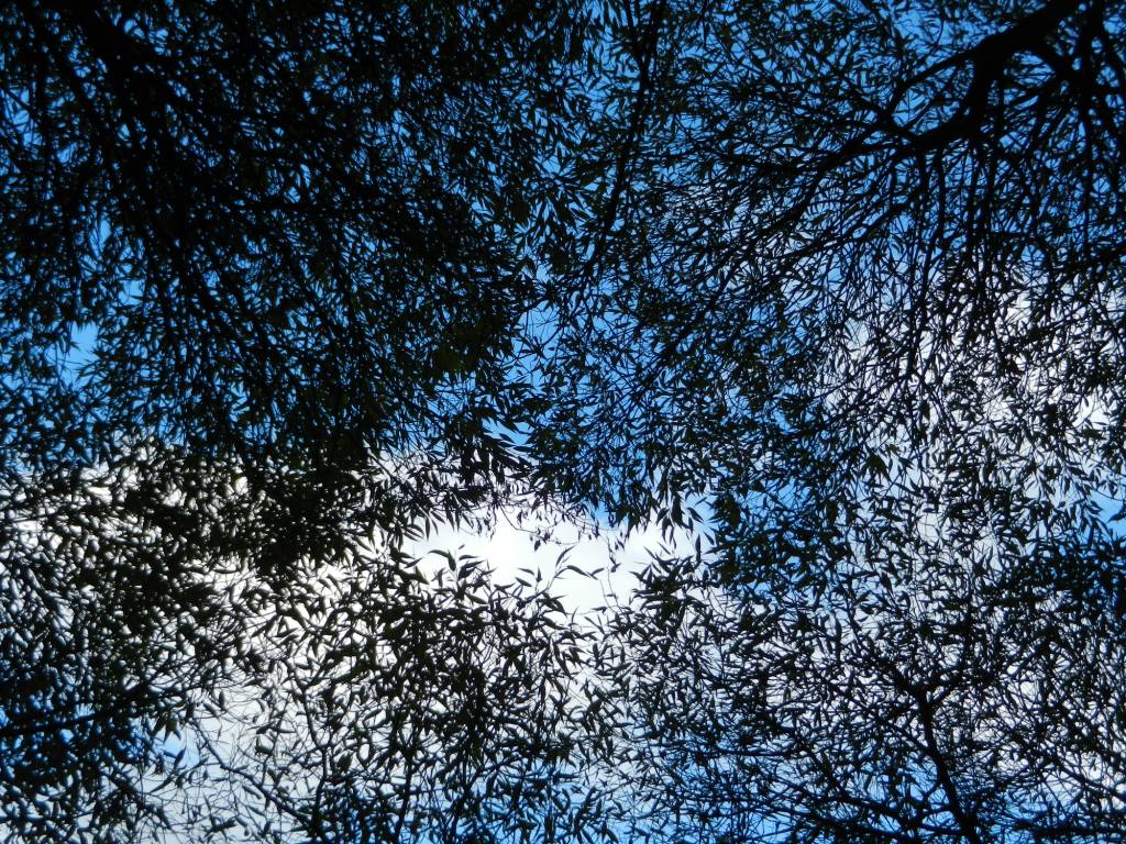 DSCN2344.JPG