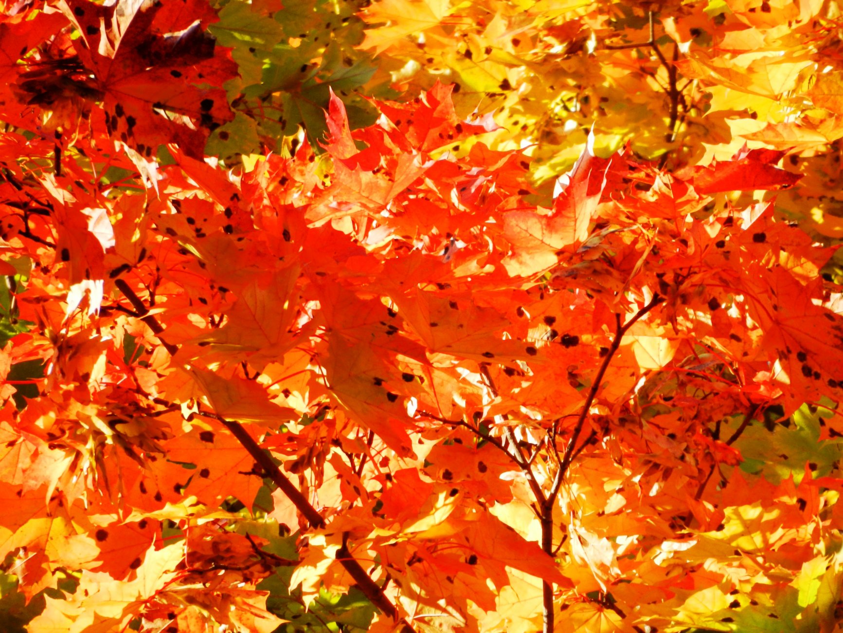 DSCN2353.JPG