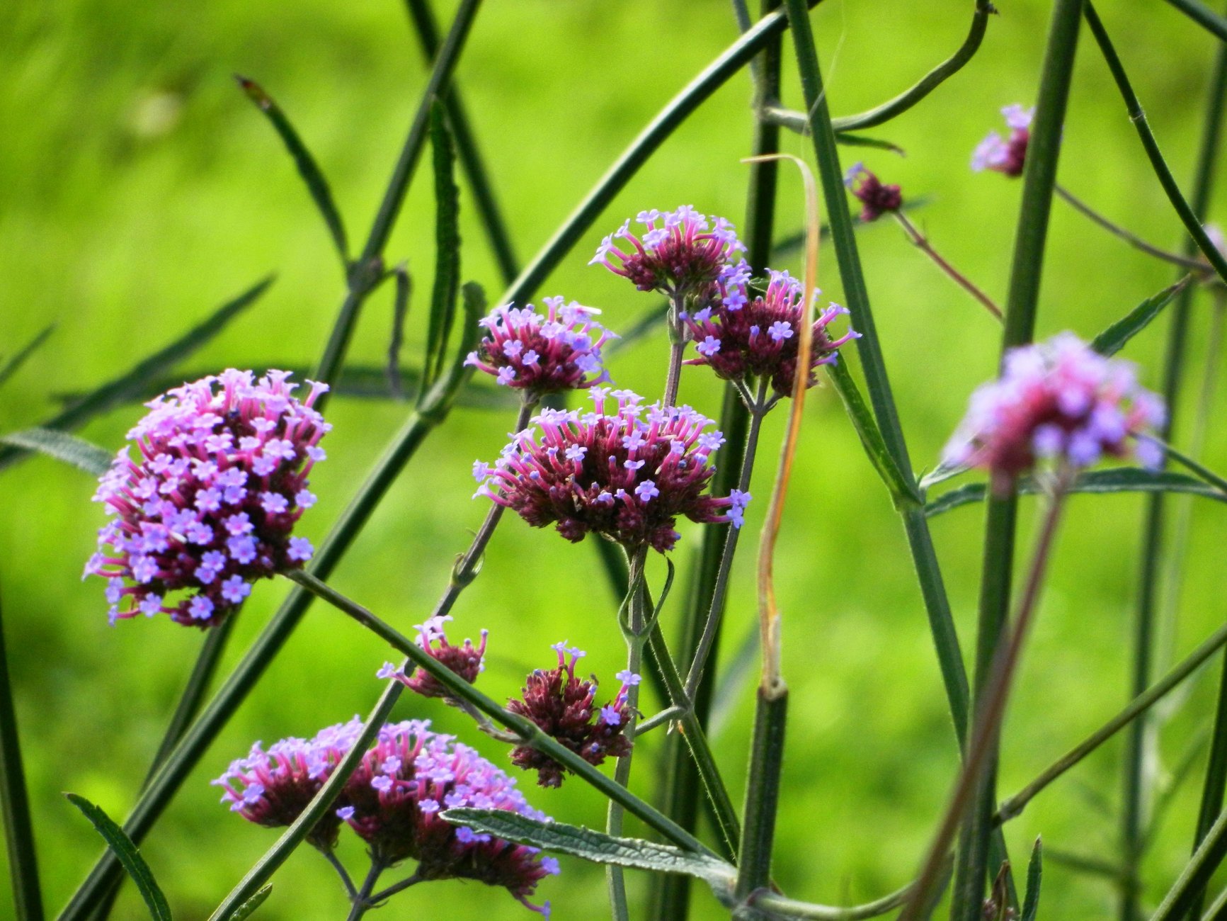 DSCN2393.JPG