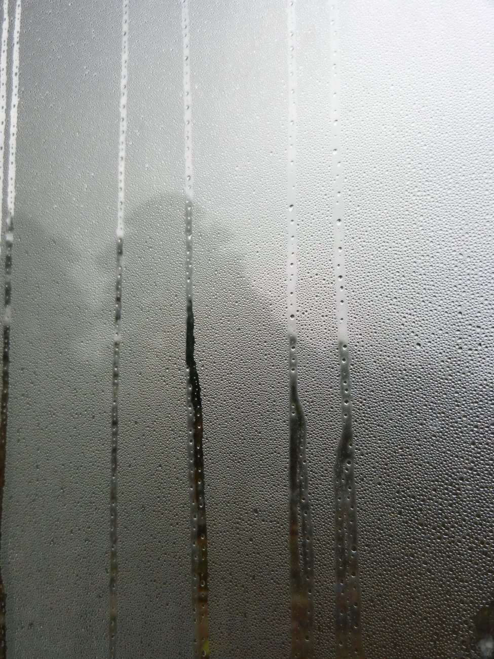 DSCN2433.JPG