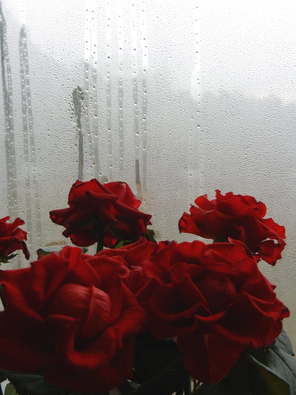 DSCN2435.JPG