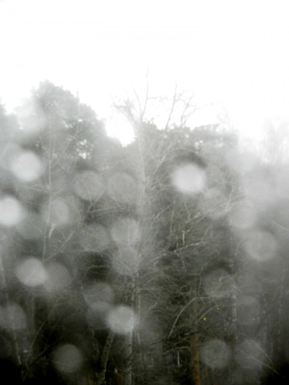 DSCN2439.JPG