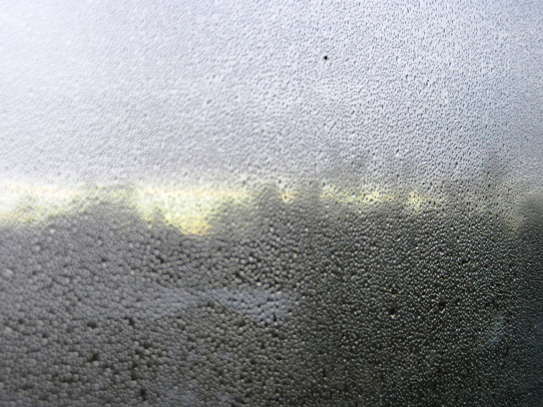 DSCN2443.JPG
