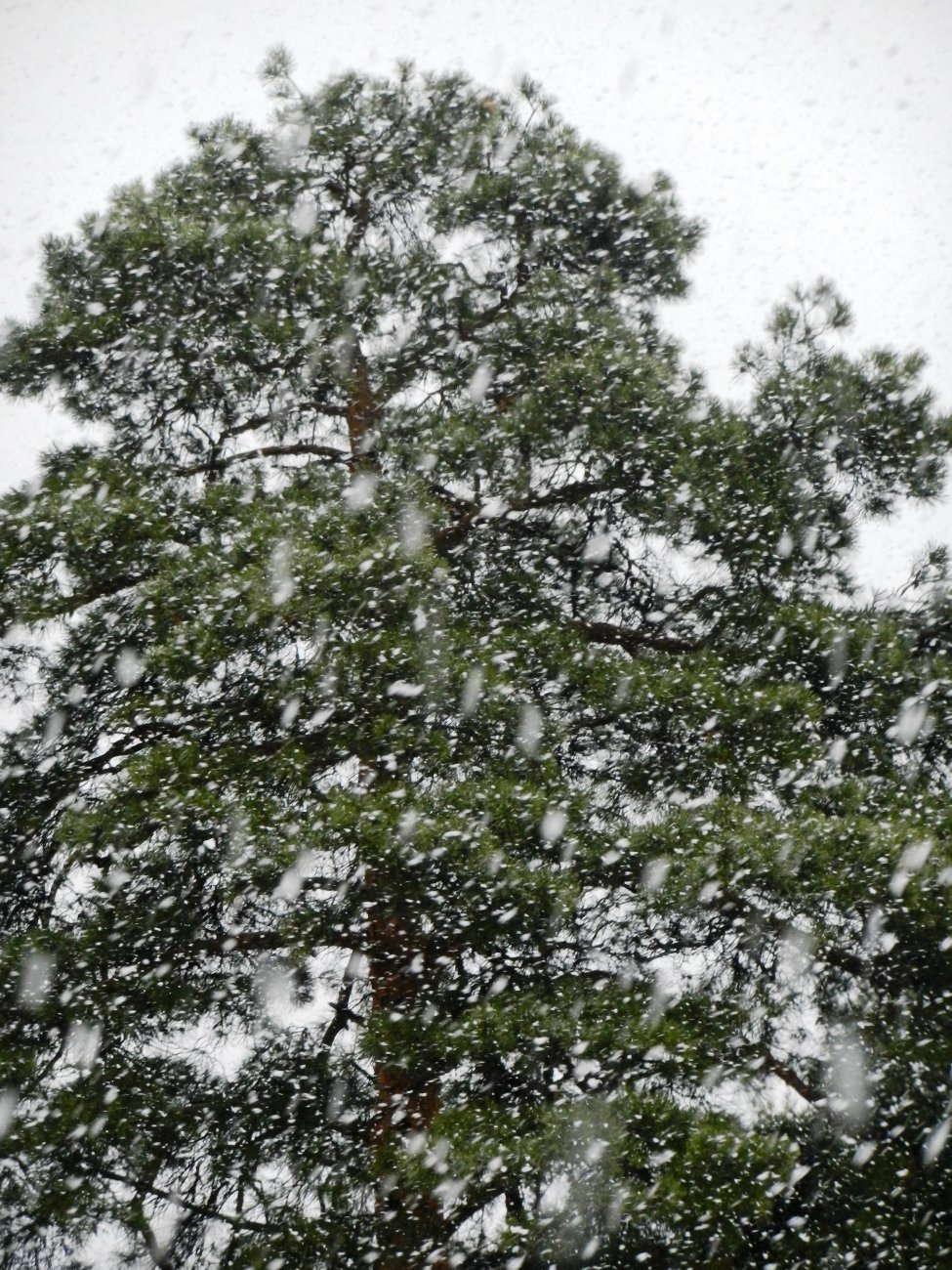DSCN2486.JPG