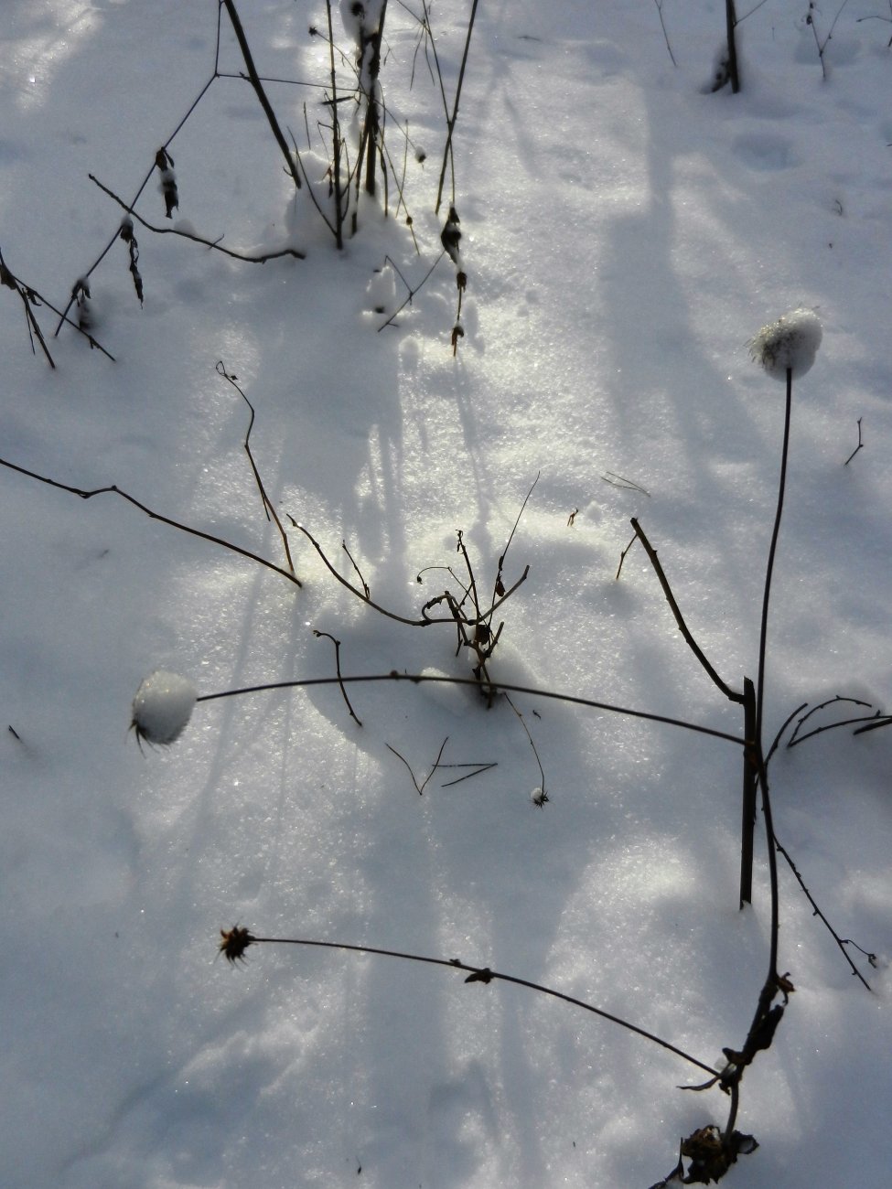 DSCN2522.JPG