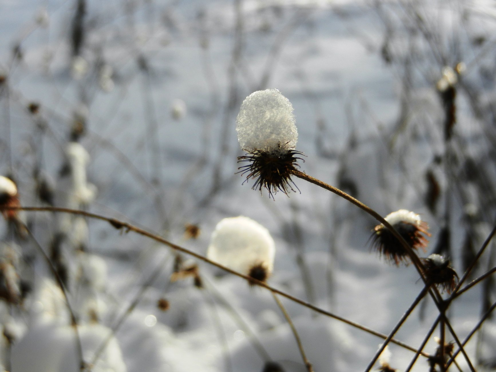 DSCN2528.JPG