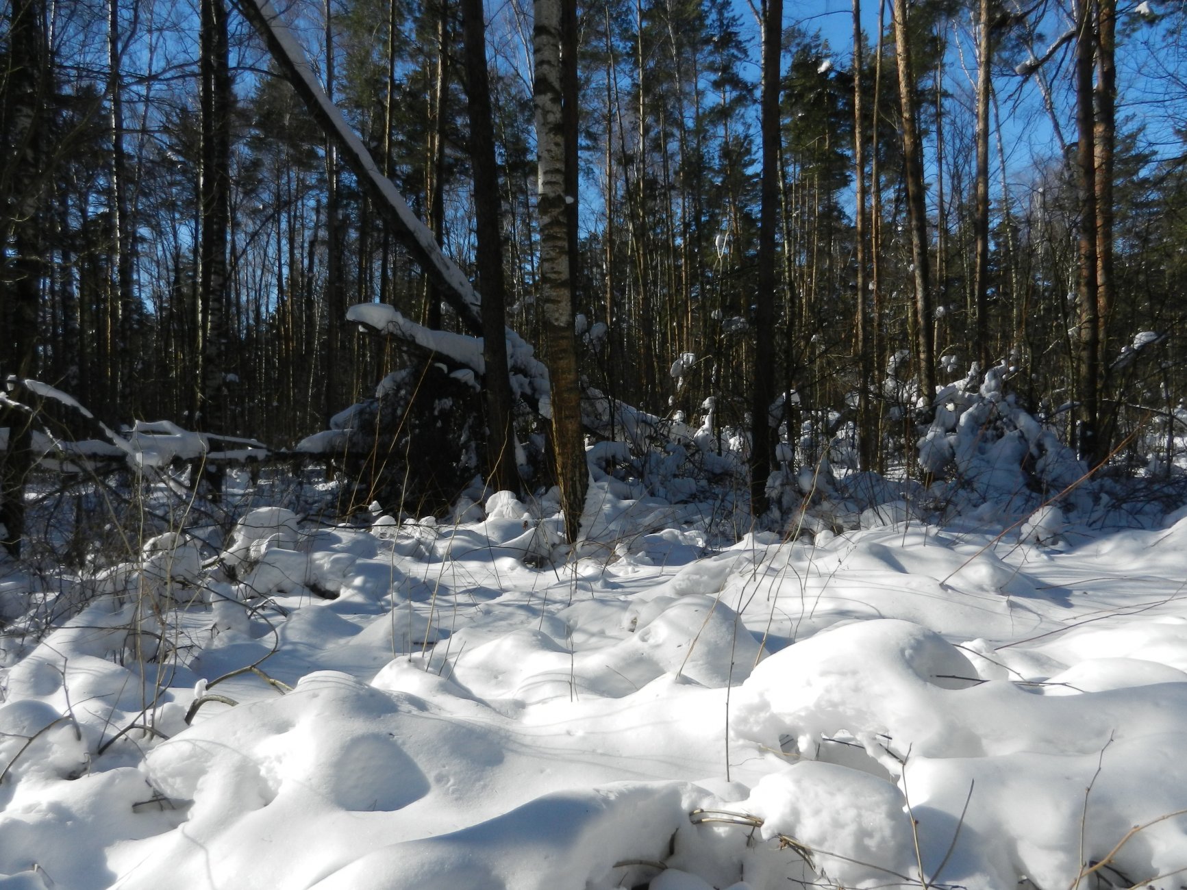 DSCN2608.JPG